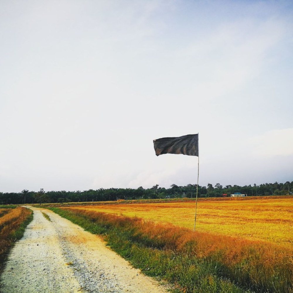 Фотография автора Nik Usamah Nik Zainuldin