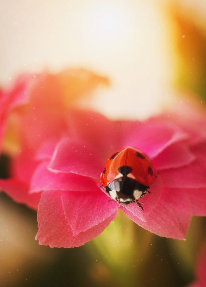 Photograph by Мадина Огорелкова