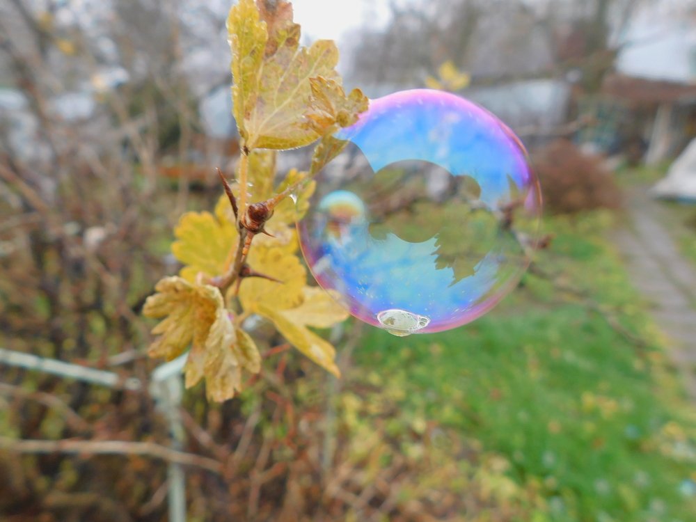 Photograph by Елена Грошева