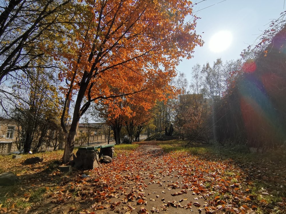 Фотография автора Артур Кондуфор