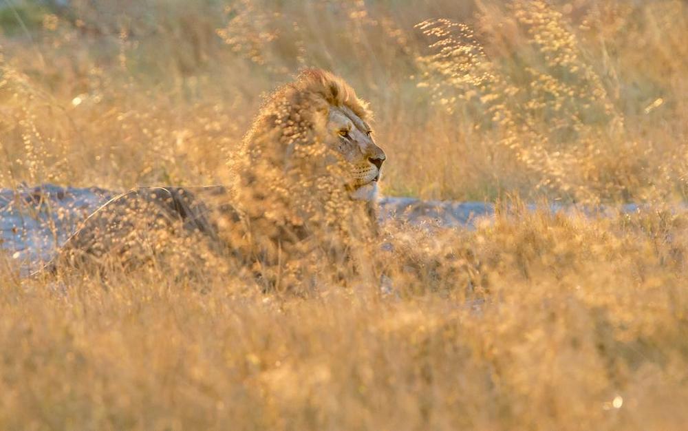Photograph by Lucky Mokgatle