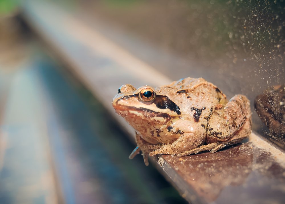 Photograph by Кирилл Огинов