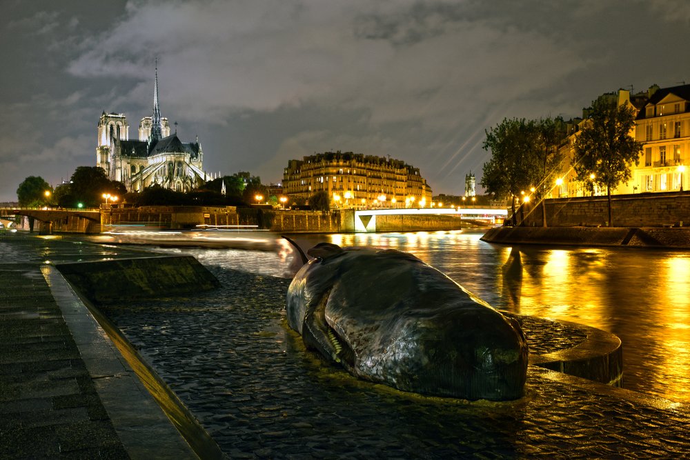 Photograph by SI SABER LOTFI