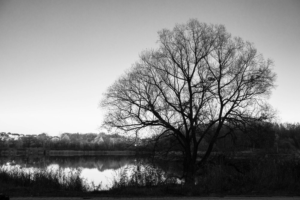 Photograph by Вероника Новикова