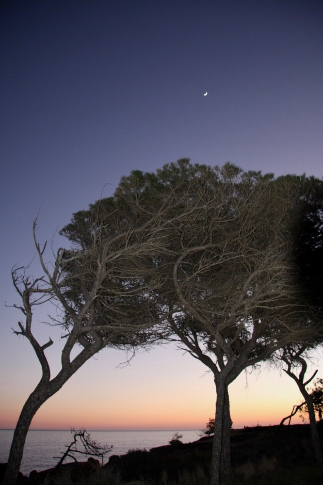 Photograph by Наталья Пирогова