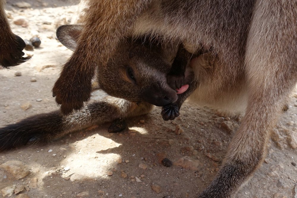 Photograph by Марина