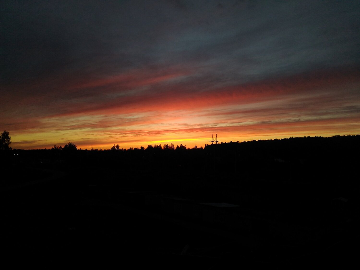 Photo #3906217