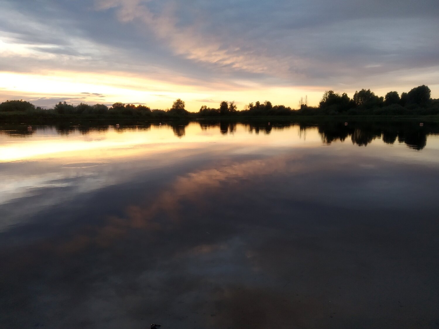 Photo #3906225