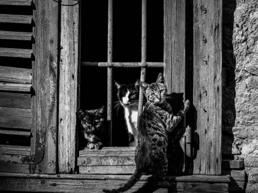 Photograph by Георгий Акопджанов