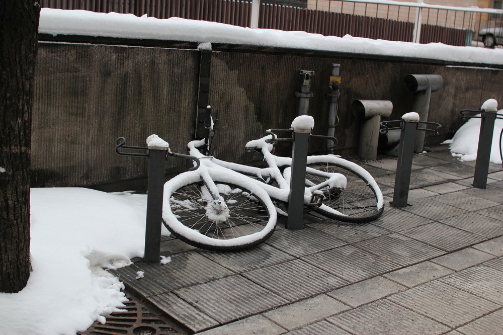 Photograph by Марина