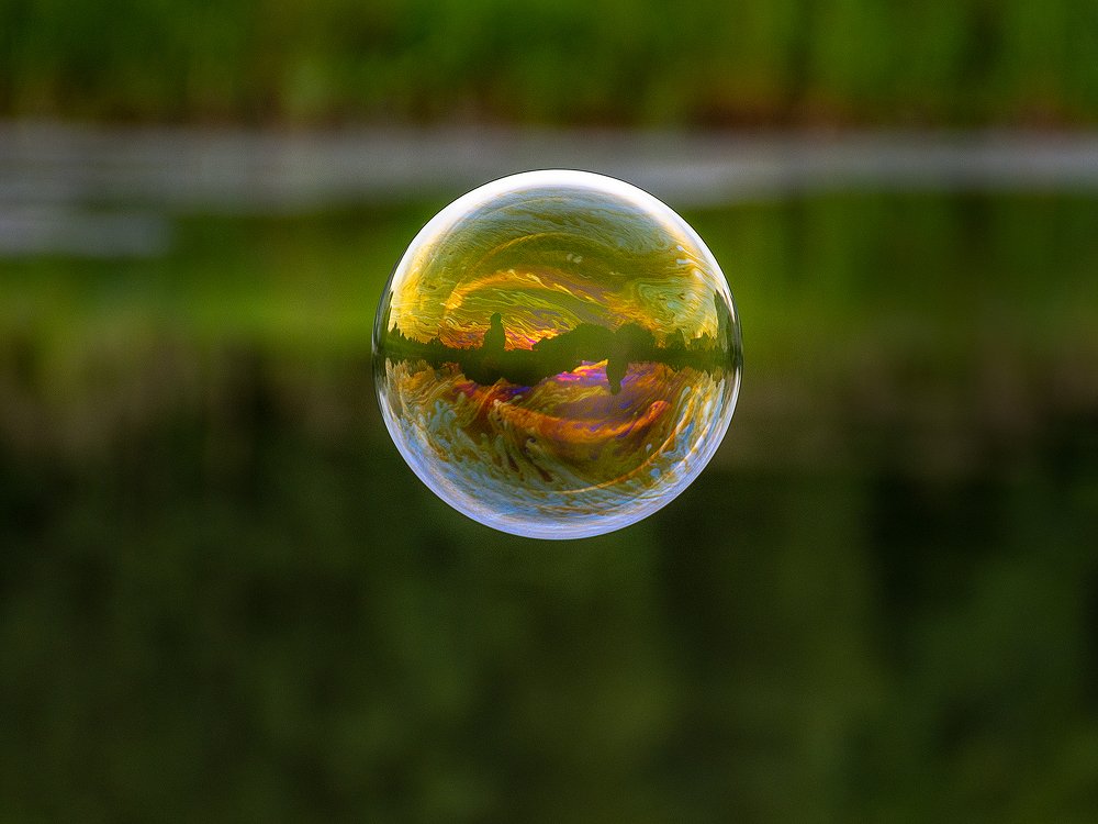 Photograph by Елена Стещенко