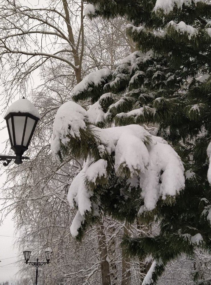 Photograph by Елена Шафикова