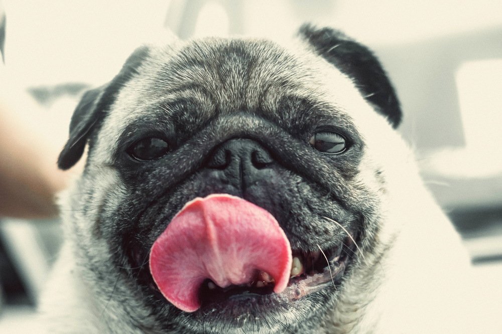 Photograph by Александр Григорьев