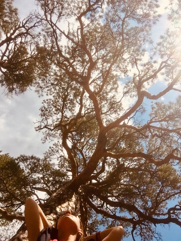 Photograph by Анастасия Мангольд