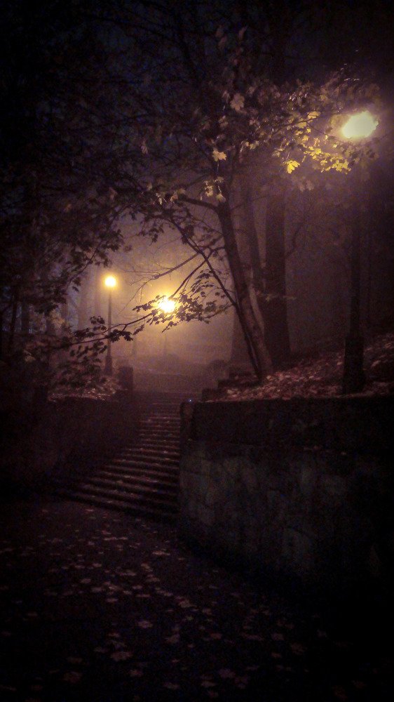 Photograph by Mykhailo Makarov