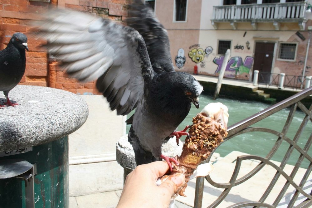 Photograph by Татьяна Рудковская