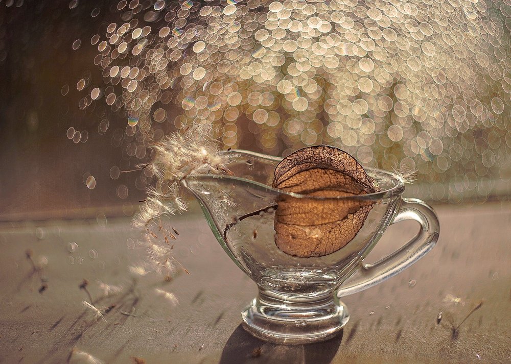 Солнечный дождь