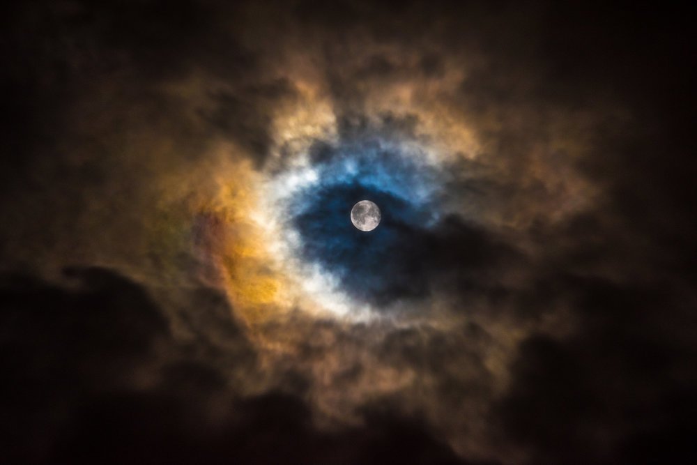 Photograph by Павел Шардыко