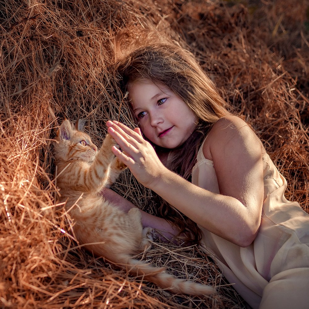 Фотография автора Светлана Лукьянова