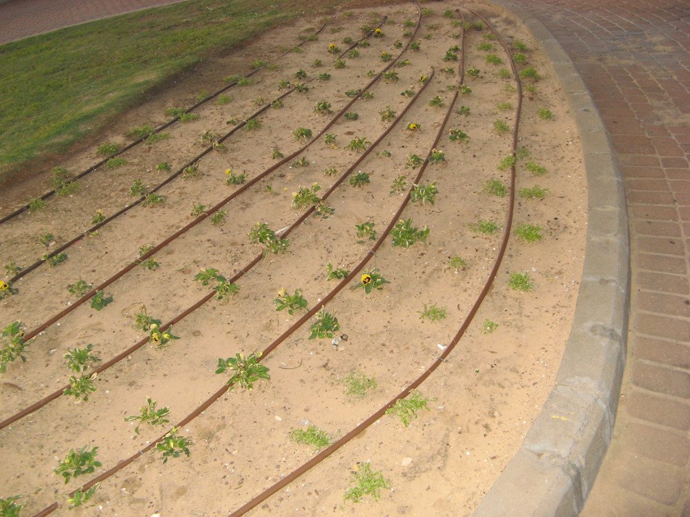 Photograph by Родосская Нонна