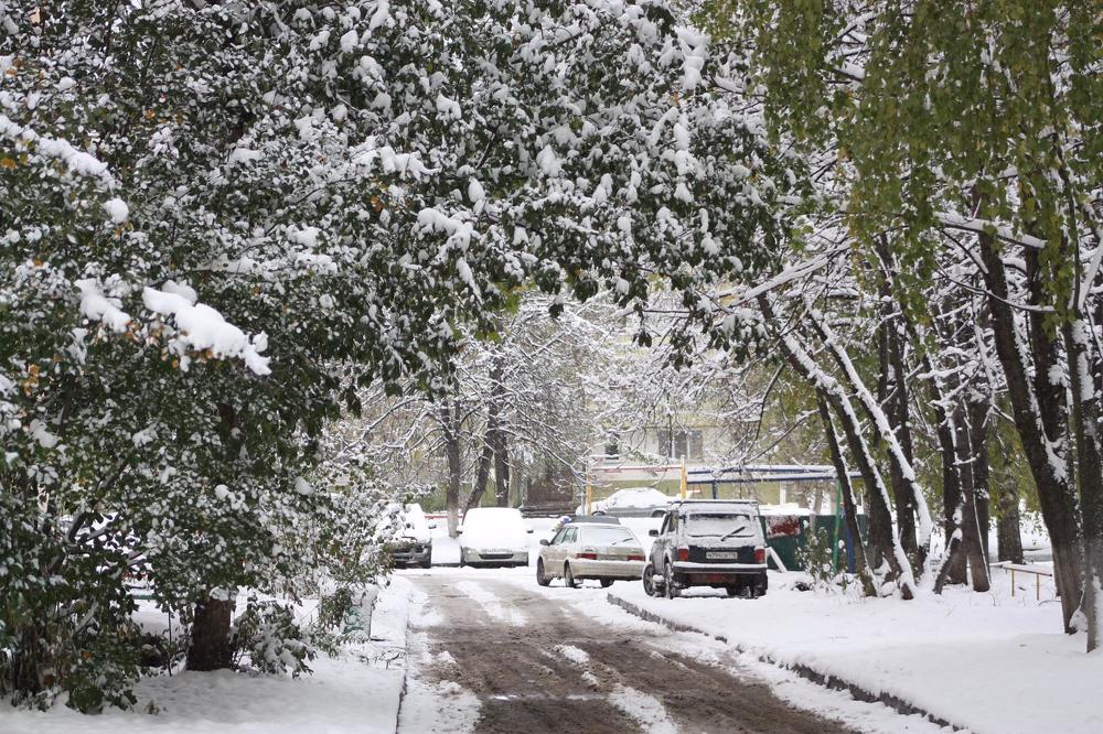 Первый снег.