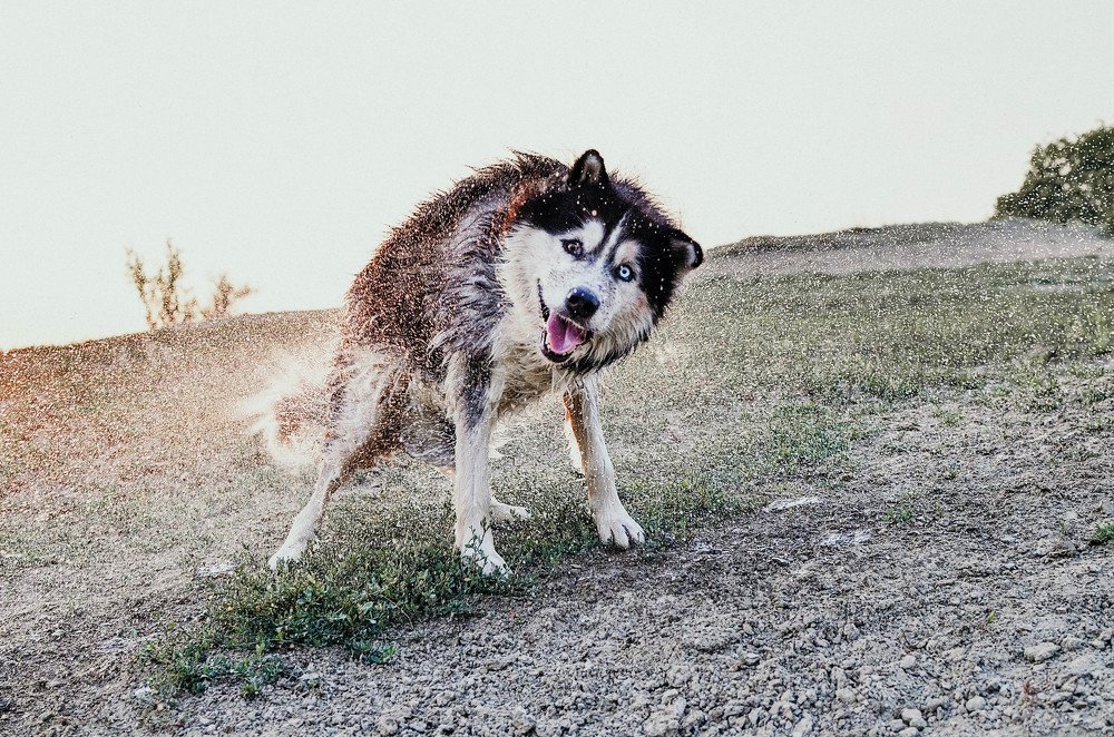 Фотография автора Виктория