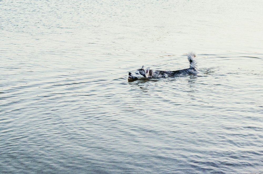 Фотография автора Виктория