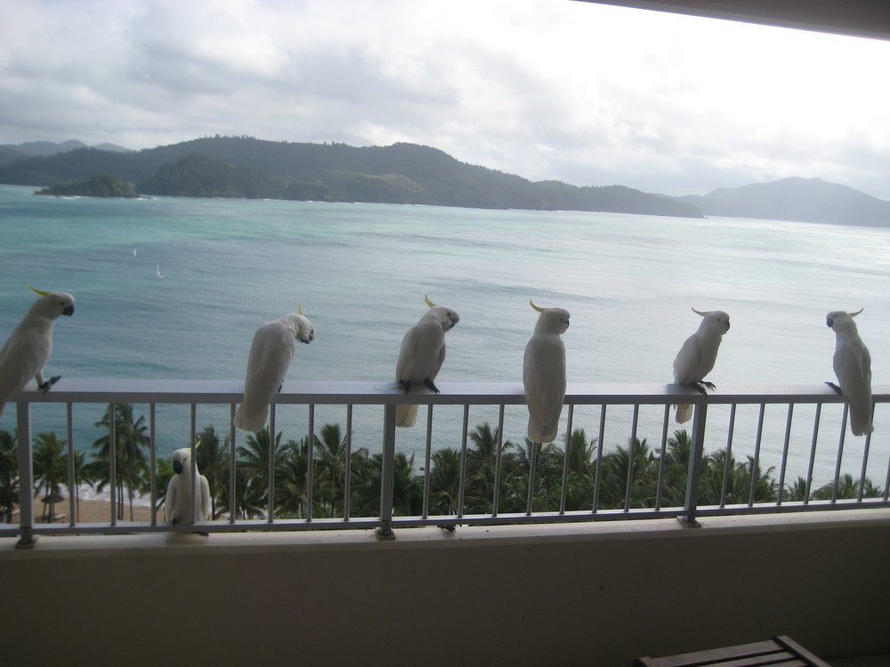 Photo #3906761