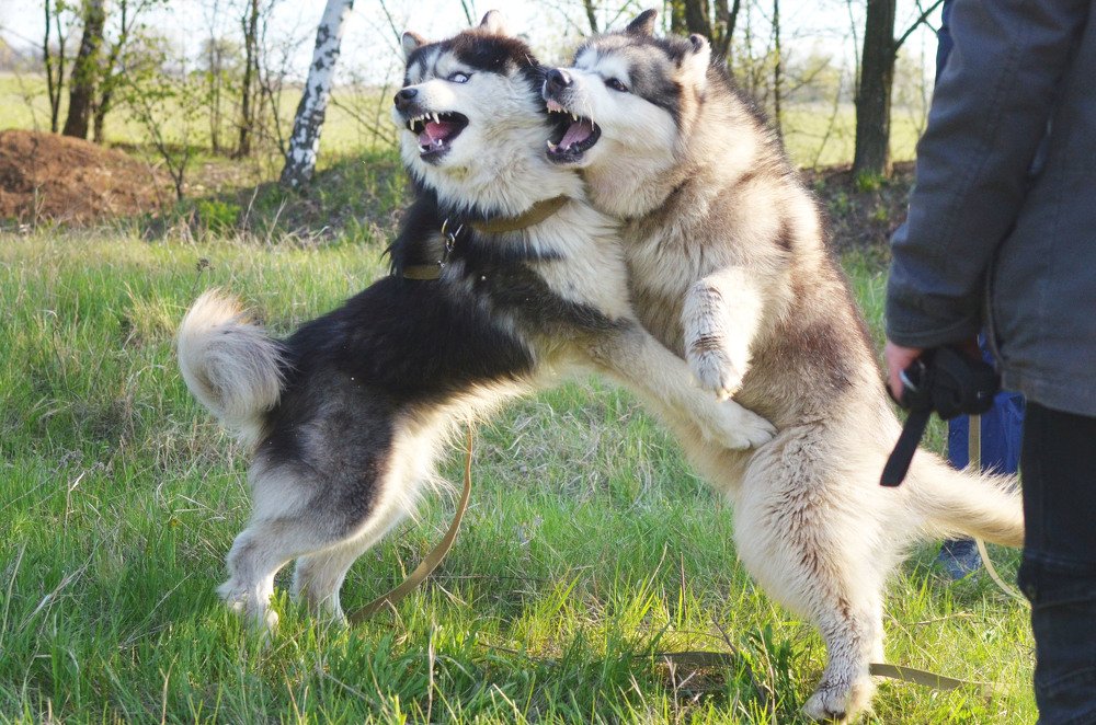 Фотография автора Виктория