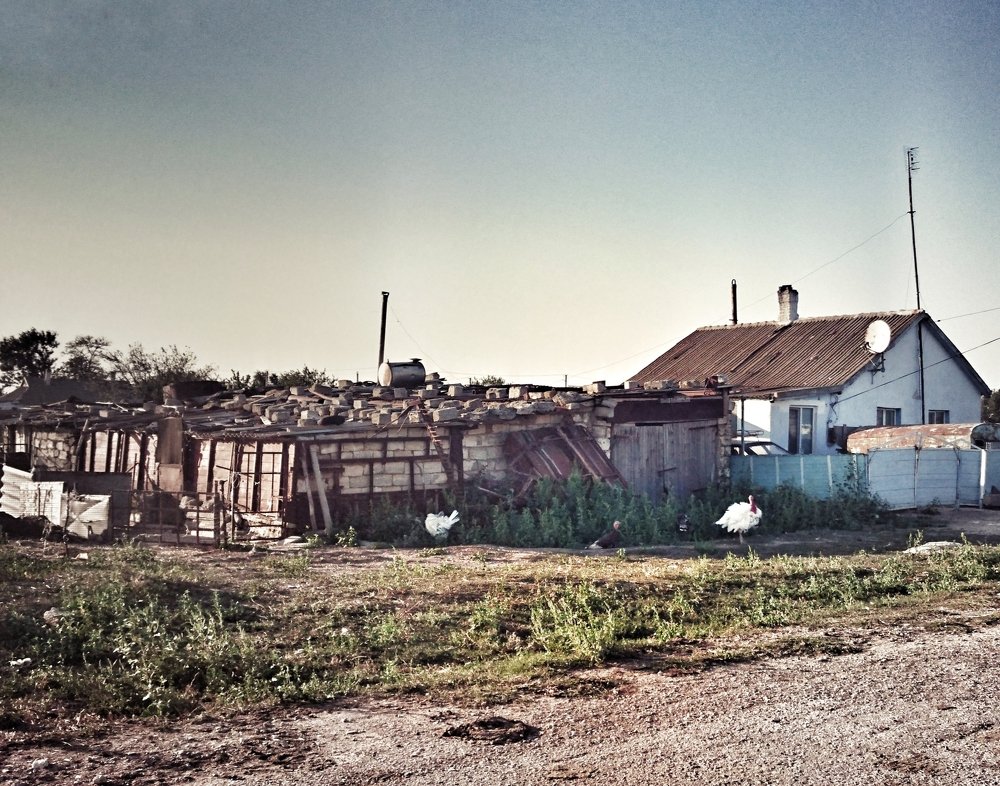 Photograph by NATALIA DROBOT