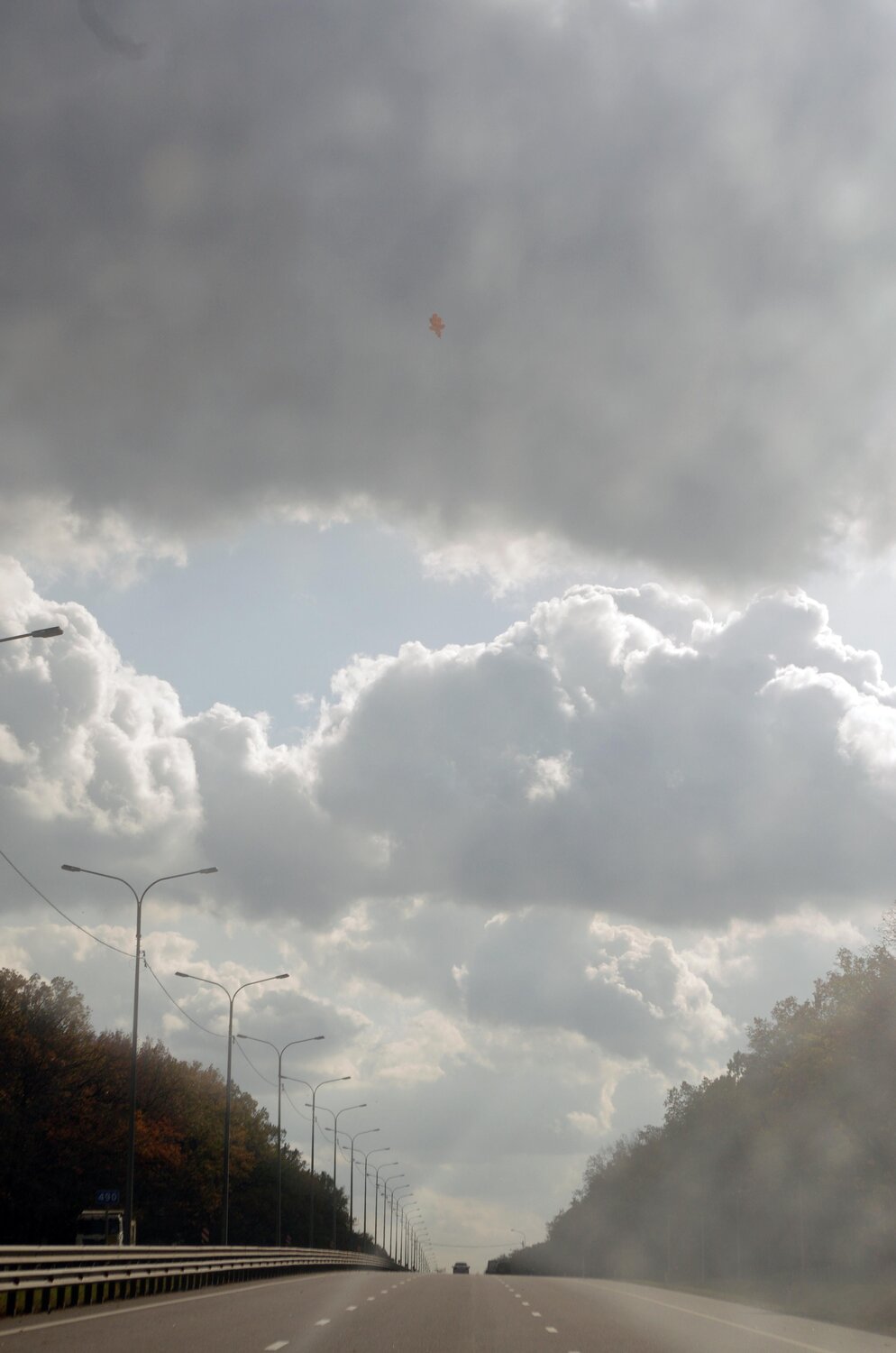 Photo #3906812
