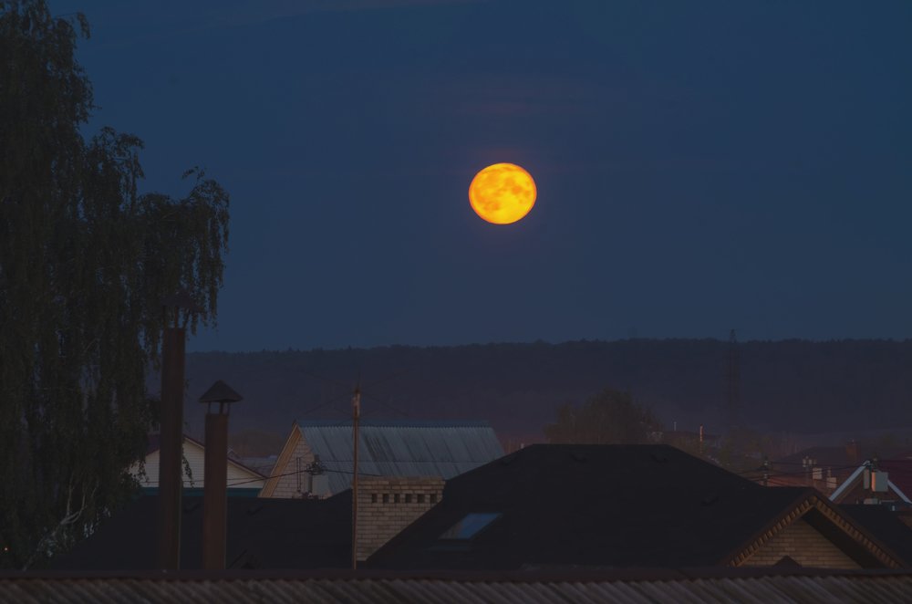 Photograph by Владимир Максимов