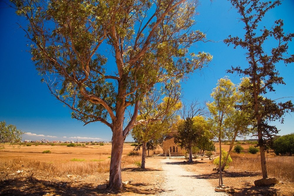 Photograph by Воробьёв Евгений