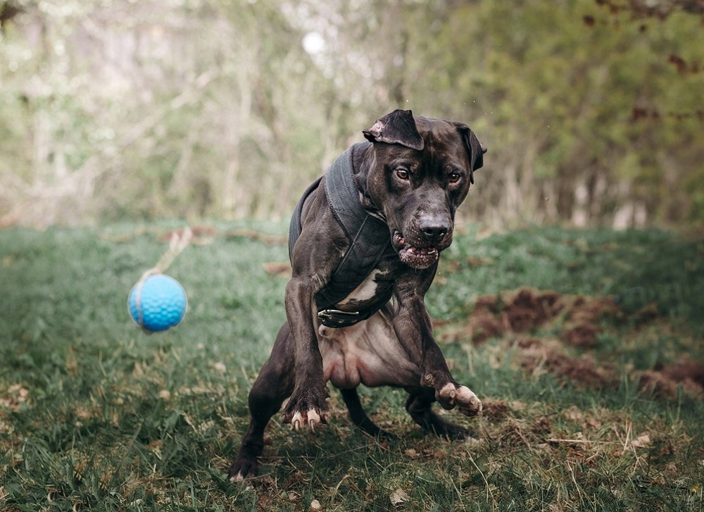 Photograph by Pampina