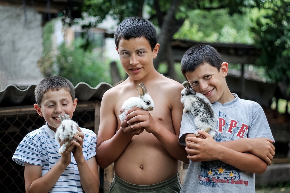 Photograph by Семенюк Анна