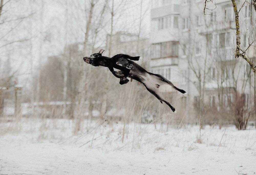 Photograph by Pampina