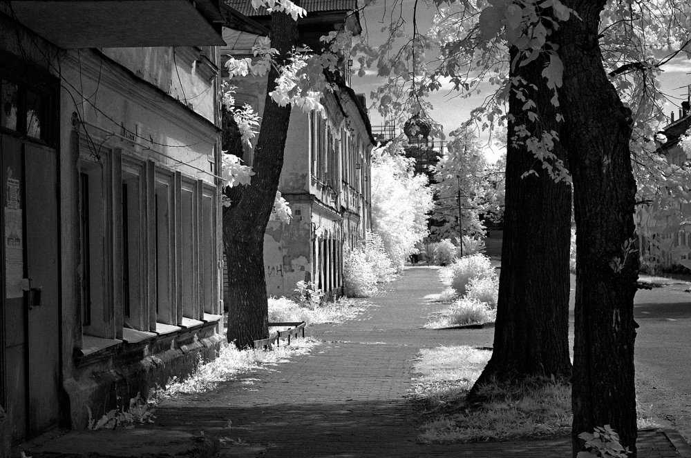 Photograph by Сергей Кузнецов