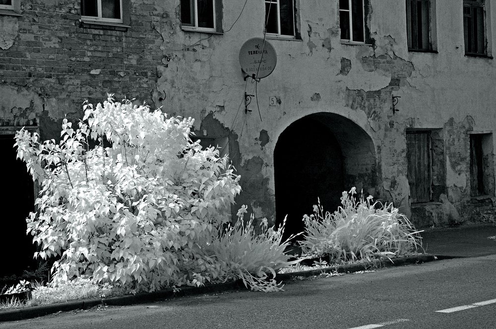 Photograph by Сергей Кузнецов