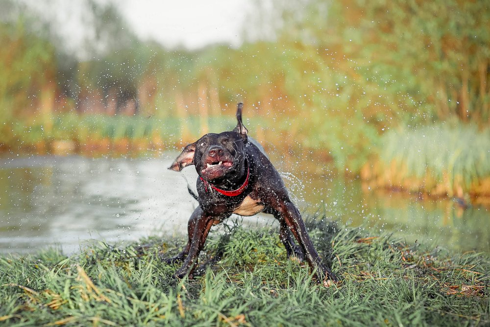 Photograph by Pampina