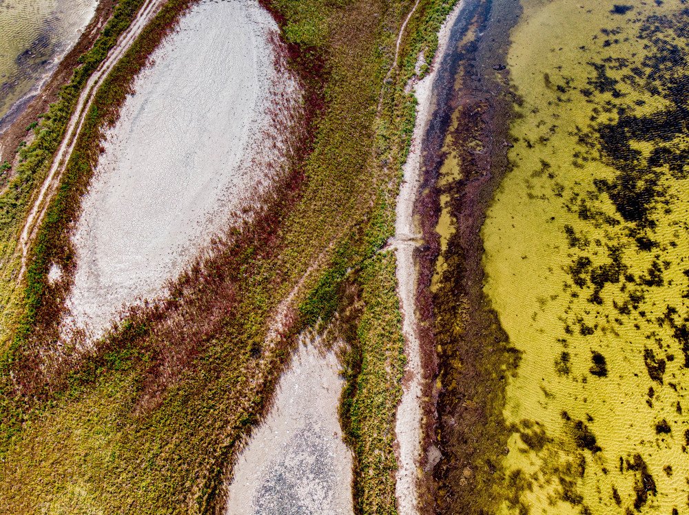 Photograph by Ольга Дзюба