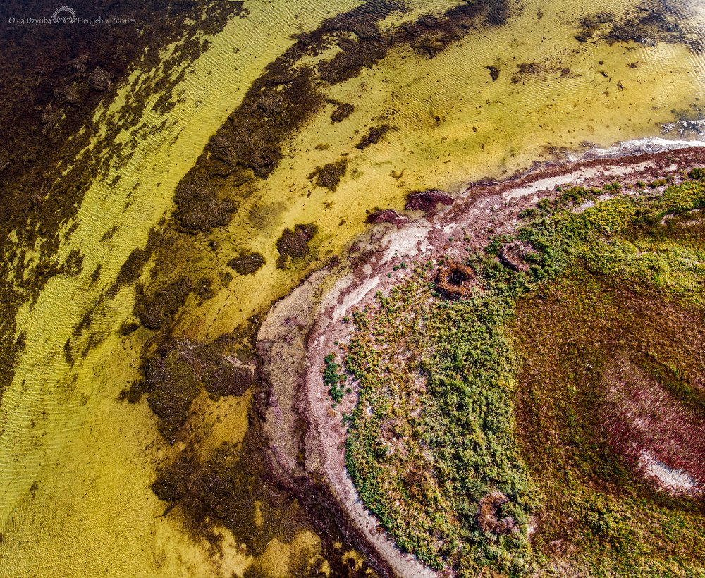 Photograph by Ольга Дзюба