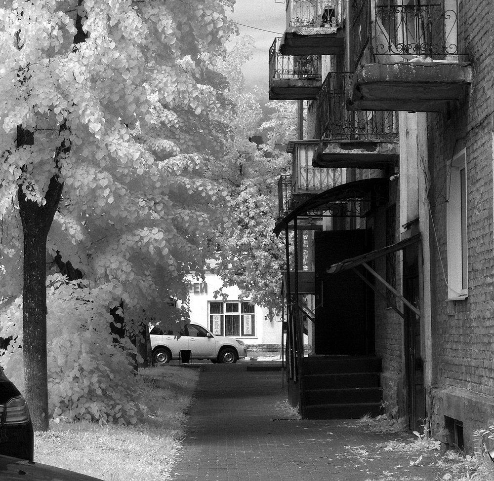 Photograph by Сергей Кузнецов