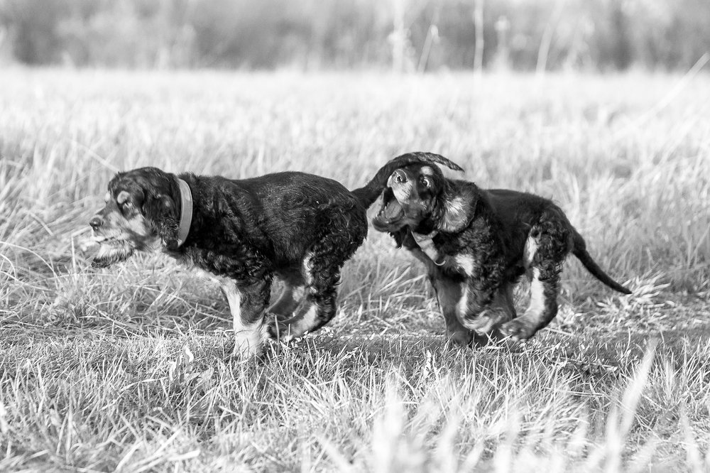 Photograph by Evgeniya Glinskaya