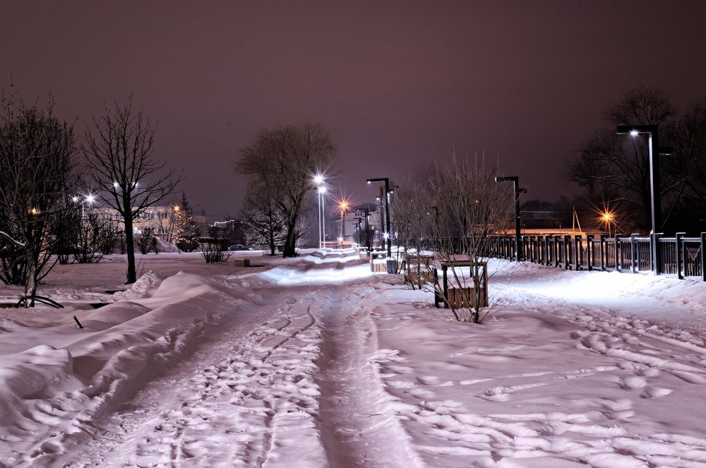 Фотография автора Алексей Григорьев