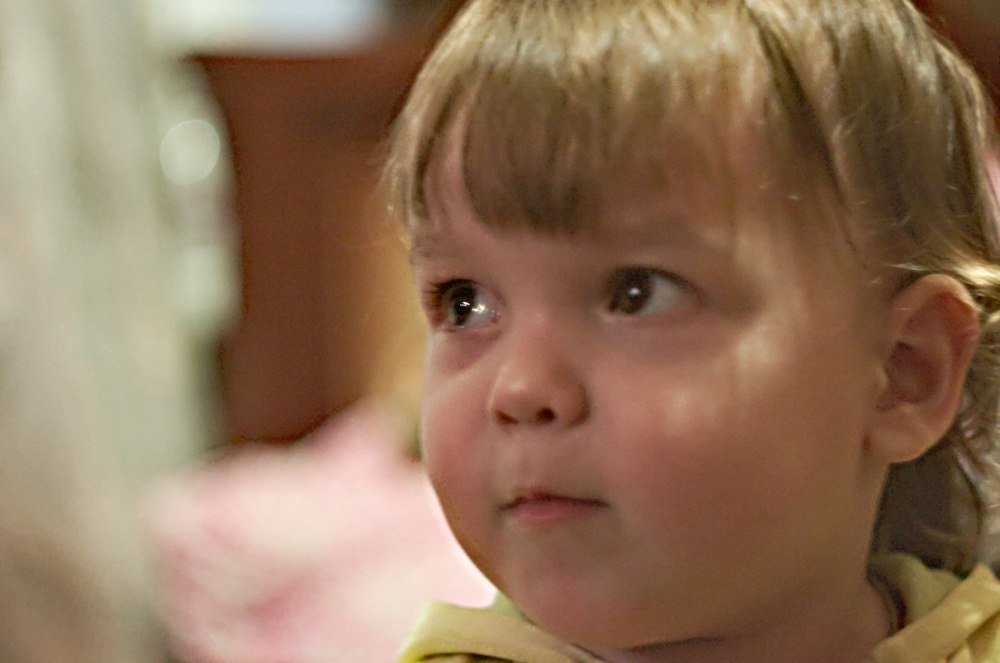 Фотография автора Алексей Григорьев