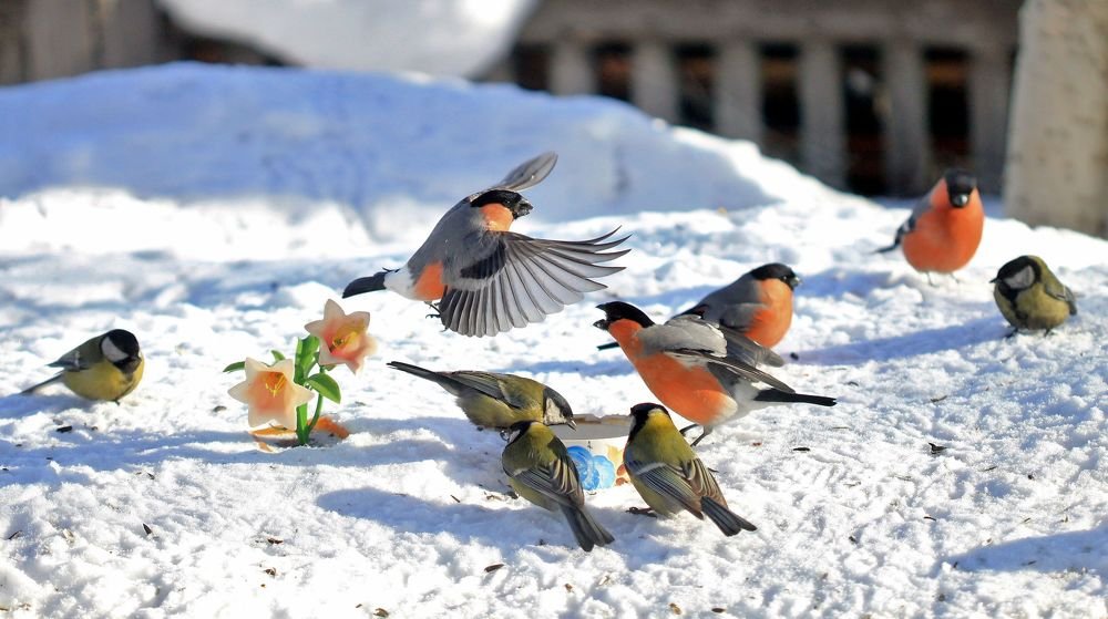 Photograph by Леунина Людмила