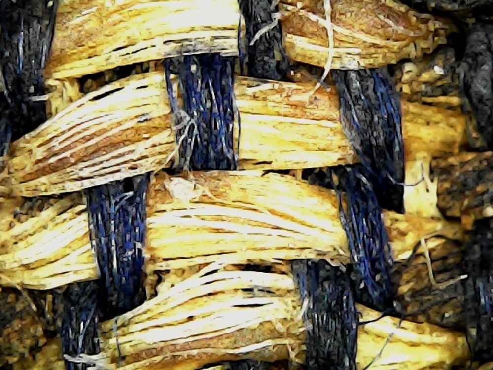 Photograph by Kim Lai Yeap