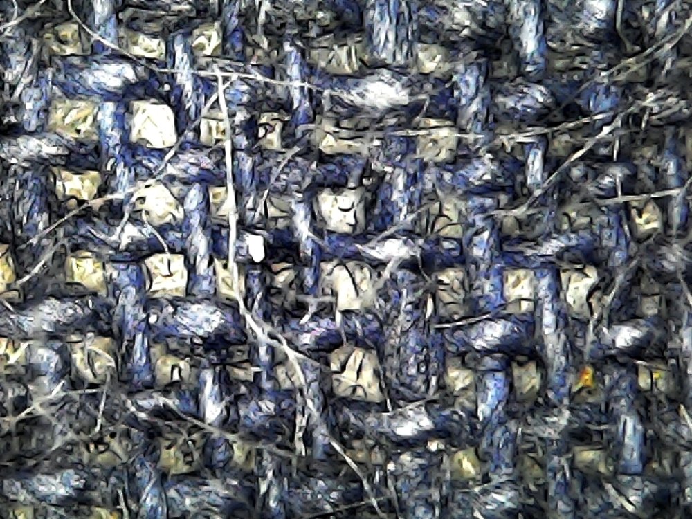 Photograph by Kim Lai Yeap