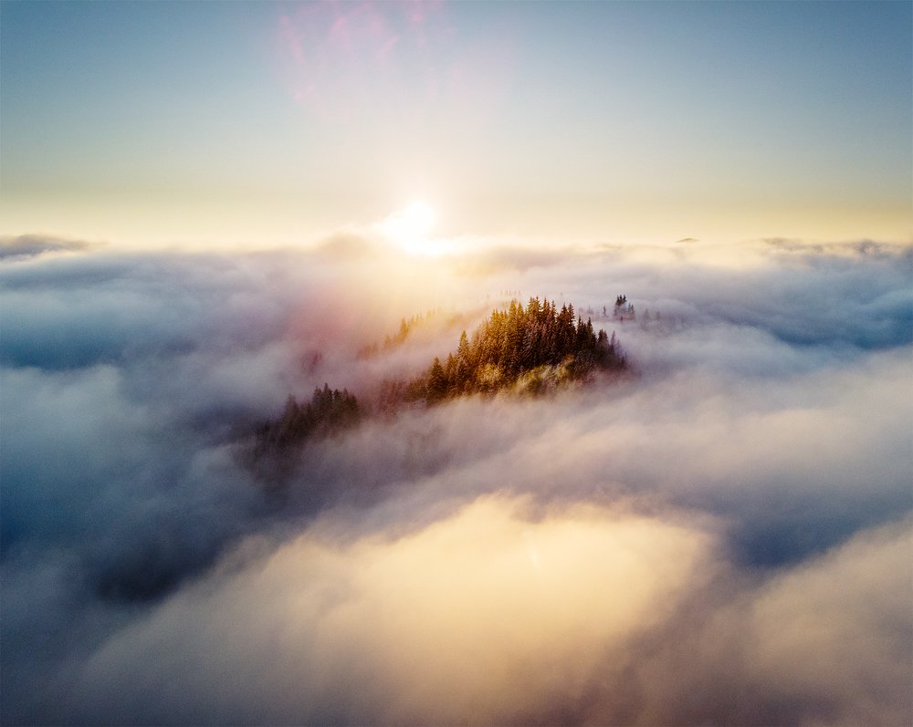 Photograph by Ольга Дзюба