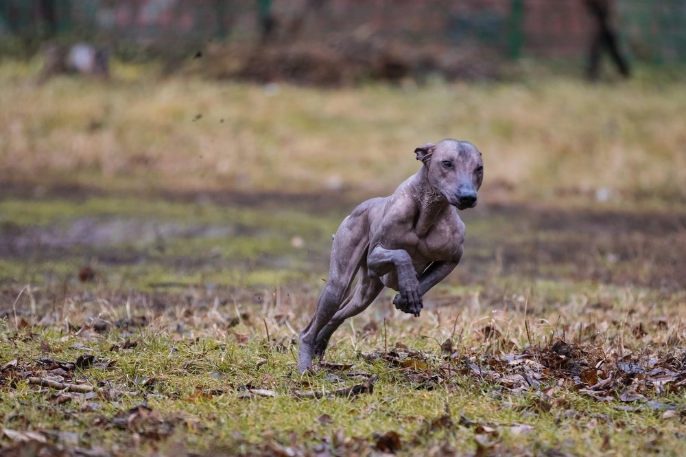 Photograph by Иван Кабалин